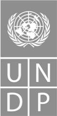United Nations Development Programme works with GIS Cloud.